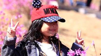 杜鹃的婚约 第二季,杜鹃婚约第二季